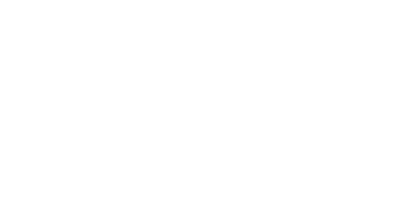 Lone Star Collective